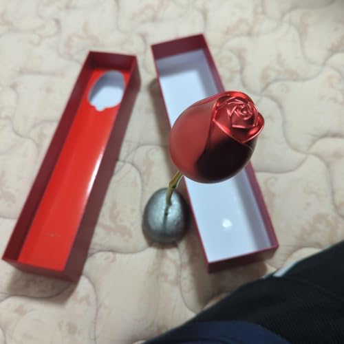 õMtg{bNX lbNX CeA KN lbNX ANZT[