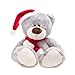 WILDREAM Christmas Stuffed Bear Plush,10.8"