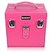 SHANY Color Matters - Makeup Travel Case Nail Accessories Organizer and Makeup Train Case - Makeup Storage Box - Sugar Gum