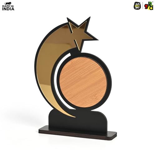 Image of Gift Kya De Star Trophy Memento | Self-Customizable Wooden & Acrylic Award with Stickers | Corporate Appreciation, Employee Recognition, Achievement Award (Big - Self)