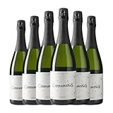 Félix Lorenzo Cachazo Carrasviñas Verdejo Brut 75 cl Espumoso blanco (Caja de 6 Botellas de 75 cl)