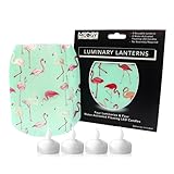 MODGY PinkyDo Frosted Luminaries Four Pack