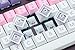 DROP DSA Astrolokeys Keycaps - ABS Doubleshot Legends, MX Style for Mechanical Keyboards, 104-key Kit Covers Tenkeyless and Fullsize Keyboards by Signature Plastics