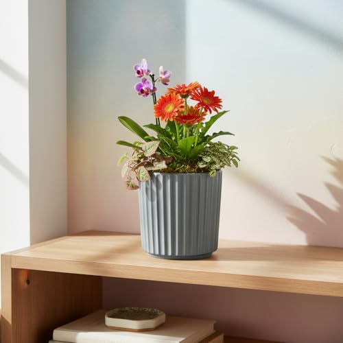 Image of Xtore Sleek Ribbed Ceramic Planter Pot for Indoor Plants | Contemporary Minimal Flower Pot for Home, Office Desk & Balcony Decor (Matte Grey - Planter only)