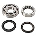 Hot Rods K041 Main Bearing and Seal Kit