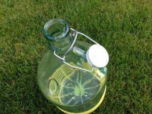 Wijnglas 25 cl Ballon | Goedkope wijnglazen - Kookwinkel Kitchen&More