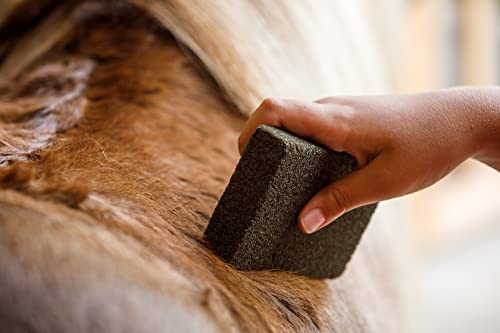 Farnam Slick 'N Easy Horse Grooming Block | Removes loose Hair, Dust, and Dirt,Leaves horse's coat slicker, shinier in minutes,Grooms up to 12 horses - Image 5