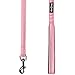 Blueberry Pet 3M Reflective Pastel Color Dog Leash with Soft & Comfortable Handle, 5 ft x 3/4
