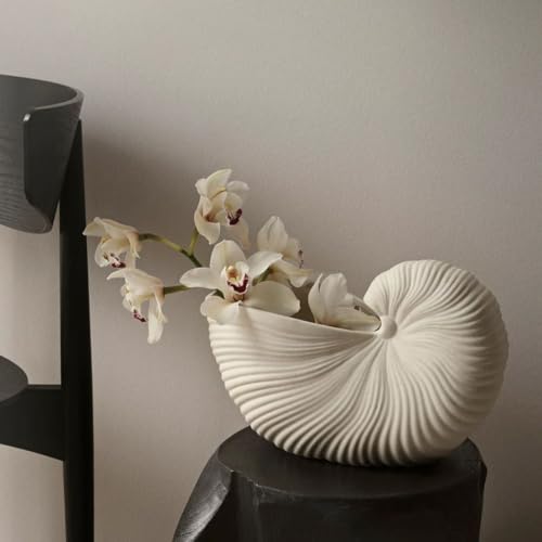Image of Nautilus Shell Scented Candle 1 Pcs - Aesthetic Seashell Decorative Aroma Candle for Home Decor, Bedroom & Living Room - Luxury Fragrance Candle for Relaxation & Gift (Nautilus Shell)