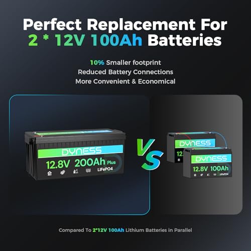 Image of Dyness 12V 200Ah PLUS LiFePO4 Battery, Max. 2560Wh Power, 12.8V LiFePO4 Battery Upgrade 200A BMS with Low-Temp Protection, 4000+ Deep Cycles 12V Lithium Battery Perfect for RV, Solar System, Off-Grid