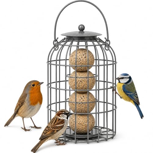 Hanging Fat Ball Feeder Squirrel Proof Metal Bird Feeder for Wild Birds Heavy Duty Cage Design Holds Multiple Fat Balls Garden Feeding