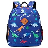 JinBeryl Mochila infantil para meninos, mochila infantil para pré-escola ou jardim de infância, Azul, Small, Mochilas