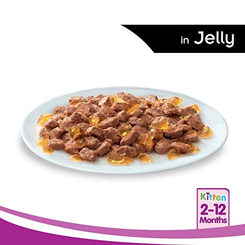 whiskas Kitten Wet Cat Food (2-12 Months), Tuna In Jelly Flavour, 12 Pouches (12 X 85G), 1 Count