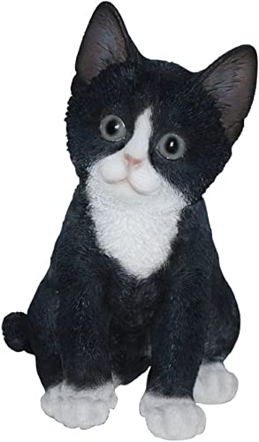 Vivid Arts Pet Pals Chaton Noir/blanc