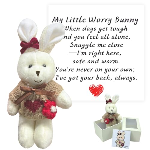 Mini Handcrafted Worry Bear Gift Set with Inspirational Card,Featuring Little Bears in a Box Wearing Hat and Sweater,Mini Bears Serves as Emotional Support Gift for Family,Friends