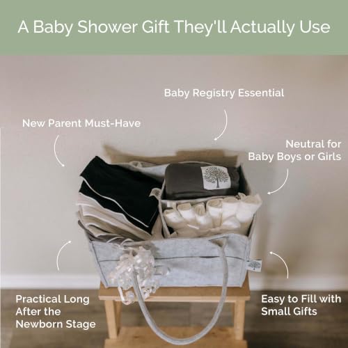 Image of Parker Baby Diaper Caddy - Nursery Storage Bin and Car Organizer for Diapers and Baby Wipes - Gray, Regular (Pack of 2)