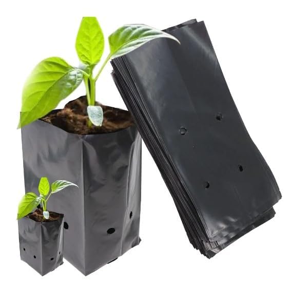 Image of Agritech Black Nursery Cover /Plant Grow Bag - 200 Nos (12x12, 200)