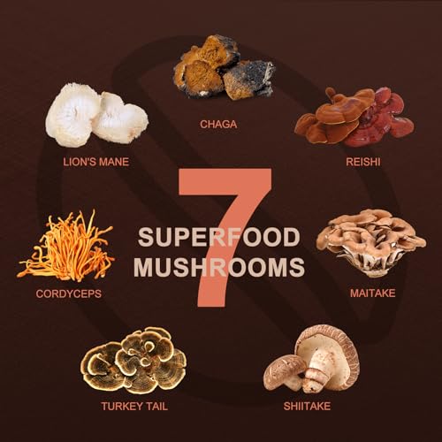 ORGFUN Premium Mushroom Coffee with 7 Superfood Mushrooms, Great Tasting Arabica Instant Coffee, Includes Chaga, Lion's Mane, Reishi, Cordyceps, Maitake, and Turkey Tail, Shiitake 3.53 Oz - Image 4