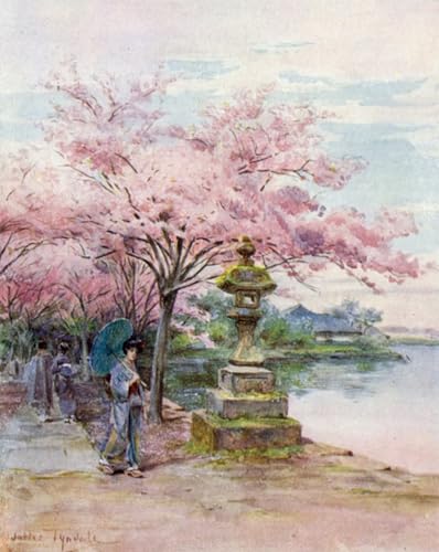 Affiche Cherry Blossom et Stone Lantern Ueno Park | Toile 60x90cm pour bureau