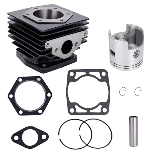 10L0L Golf Cart Top End Rebuild Kit,Cylinder & Piston Kit for 1976-1988 EZGO 2 Cycle Gas Golf Cart with 244cc EC25-DS EC25 2PG Engine,Replace OEM14532-G1