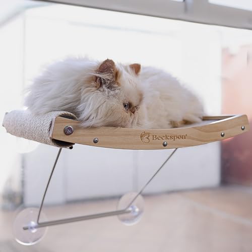 BECKSPON Hamaca para Gato con rascador Integrado | Plegable | con ventosas |...