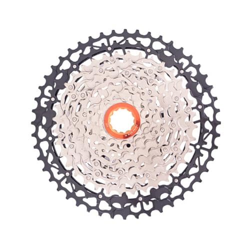 [hoCN 10 Xs[hJZbgyʎ]ԃtCzC[^[zC[[hANZT[}EetCzC[