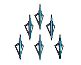 Huntingdoor 100 Grana Lama Fissa Testa Larga 6pz Tiro con L'Arco Bulloni A Testa Caccia frecce Adatto per Balestra & Arco Compound (Blu)