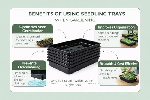Muddy Hands Pack of 6 Heavy Duty Plastic Seed Trays – Seedling, Germination & Propagation Trays with Drainage Holes for Garden or Greenhouse - Image 6