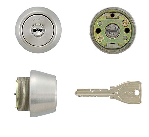 MIWA(abN)pPRV_[LSPp TE22 STF(MCY-229)