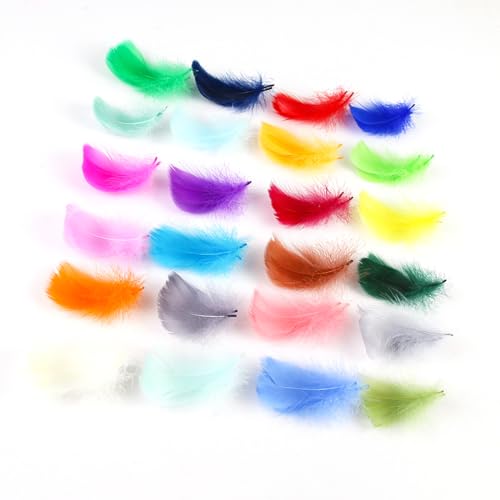 KSIUW 300 PCS Piume Colorate per l'artigianato