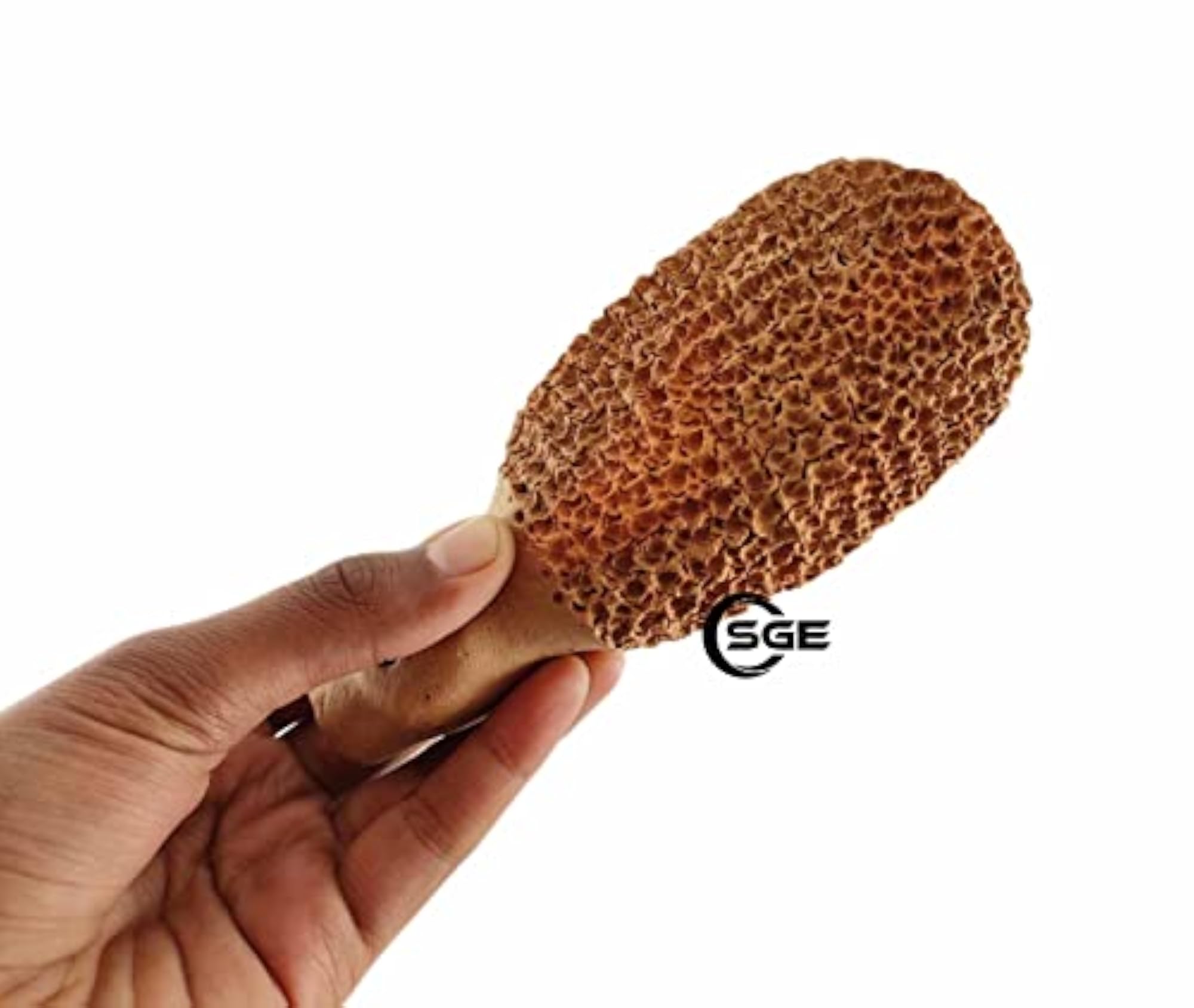Terracotta Foot Scrubber Set for Exfoliating Dead Skin