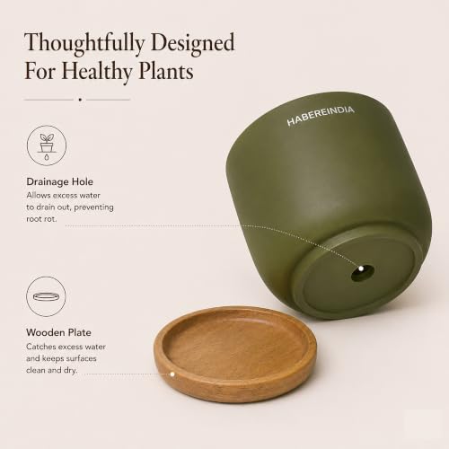 Image of Habere India-All the Cultures Fabricating India Plant Pot with Wooden Plate | Flower Pots for Dining Table & Home Decor | Terracotta Pot for Living Room Decoration (Olive, Dia11 x H10 cm)