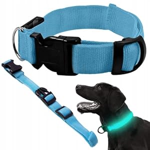 Collar LED Luminosos para Perros - Longitud Ajustable | Collar de Seguridad y Visibilidad - 3 Modos de Luz - Cómodo de Llevar Tamaño BW 36-53 cm (Azul)