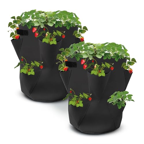 Spetebo Erdbeer Pflanzsack 2er Set aus Filz - 45 x 35 cm -...