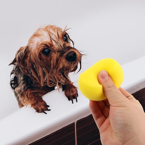 Image of Ipetboom 5pcs Pet Bath Sponge - Soft Dog Grooming Foam Scrubber Tool with Strong Water Absorption and High Foaming Power for Puppies Cats Daily Cleaning Travel Washing