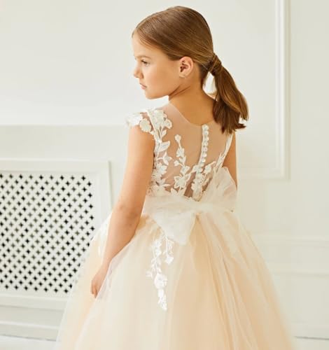 Flower Girls Dress for Wedding Long Tulle First Communion Dress with Embroidery Birthday Party Dress PY1754