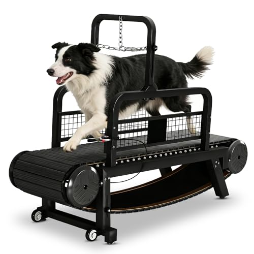 BowWowTread Dog Treadmill
