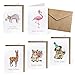 NORTH-WEST Geburtstagskarten Set mit Umschlag 5 Stück Geburtstag Glückwunschkarte Geschenk Freundin Kinder lustig Happy Birthday Card Alpaka Lama Flamingo Mops Katze Faultier Glückwunsch Gutschein
