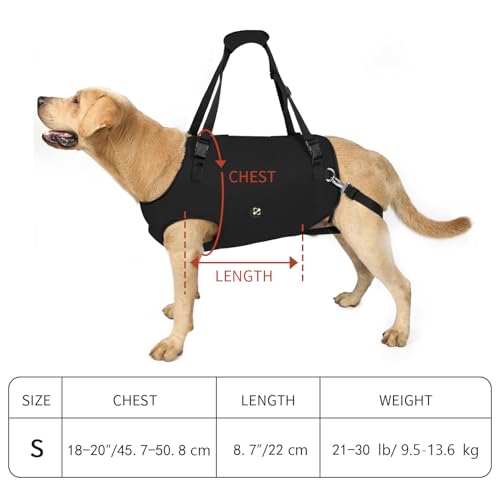 COODEO Dog Sling: Support & Rehabilitation Harness, Adjustable, Padded and Breathable, for Older, Disabled Dogs with Joint Problems or Stability Loss (Black, S) - Image 6