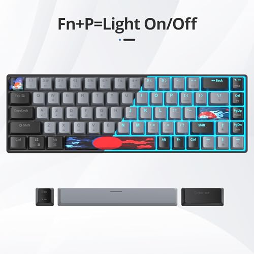 Image of 65 Percent Gaming Keyboard 68 Keys Mechanical Keyboard LED Backlit Ultra Compact Wired Key Board with Red Switch for Windows Laptop Gamer(68Dolch)