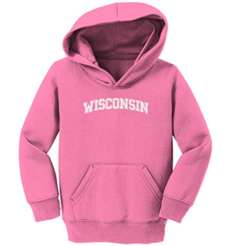 Haase Unlimited Wisconsin - State Proud Strong Pride Toddler/Youth Fleece Hoodie