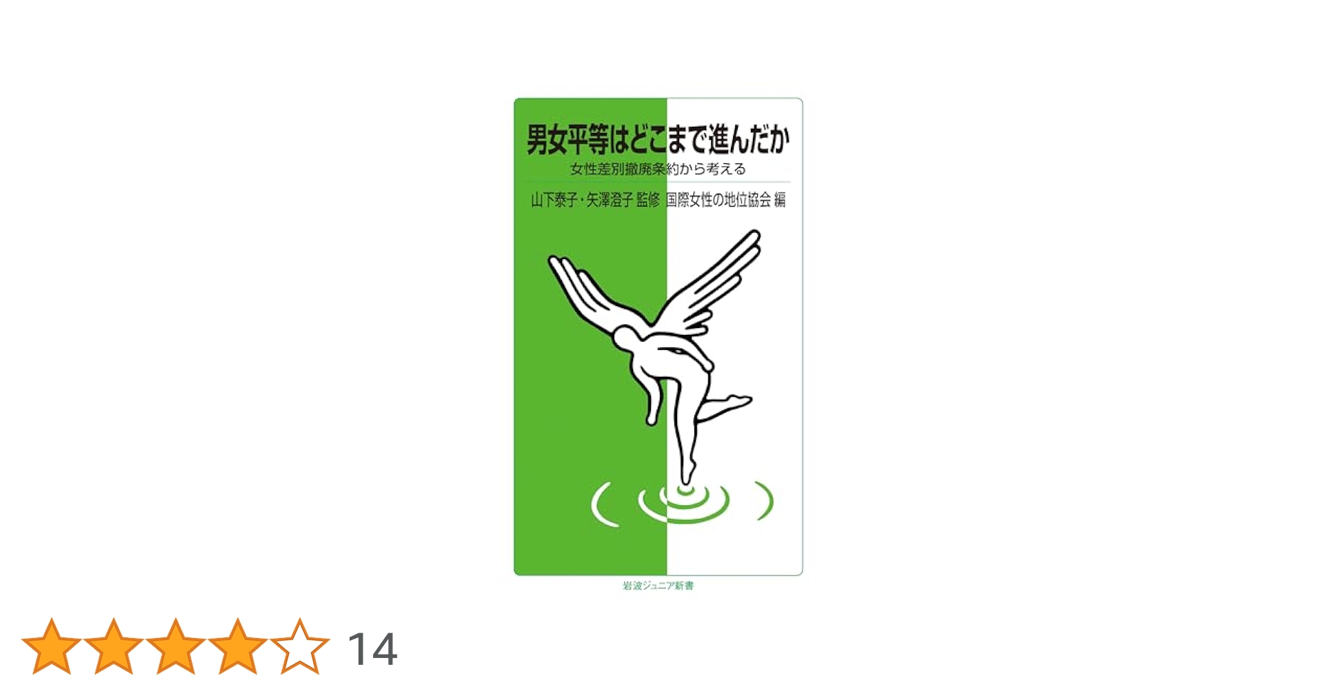 男女平等はどこまで進んだか――女性差別撤廃条約から考える (岩波