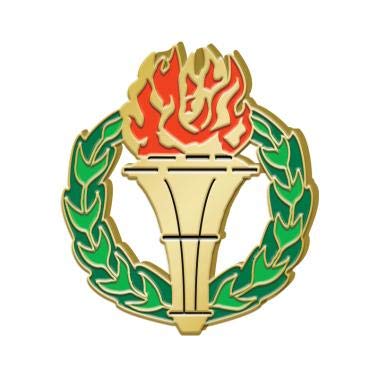 Torch Lapel Pins - Color Enamel Torch Pin for Academic Awards 1 Pack
