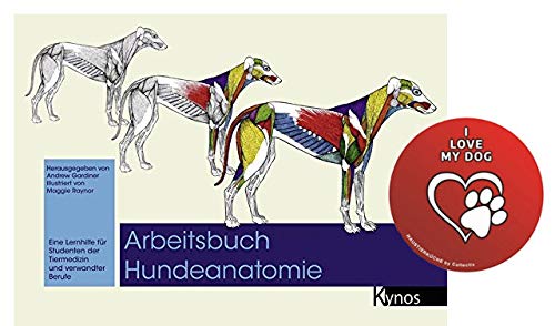 Kynos Werkboek hondenanatomie: een leerhulp voor studenten van dierengeneeskunde en aanverwante beroepen zakboek + hondensticker