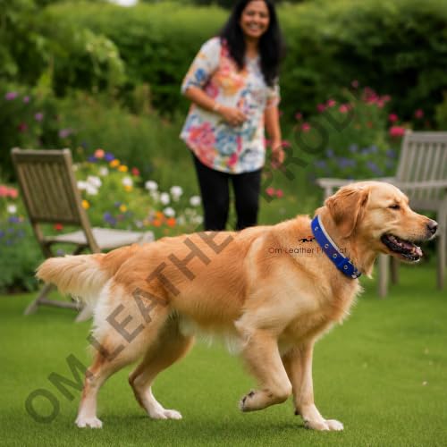 Image of Dog Collar with Padding | 01 Inch Width | Nylon Padded Collar | Easy to Clean | Best for Activities Like Walking, Training, Running and More (Blue)
