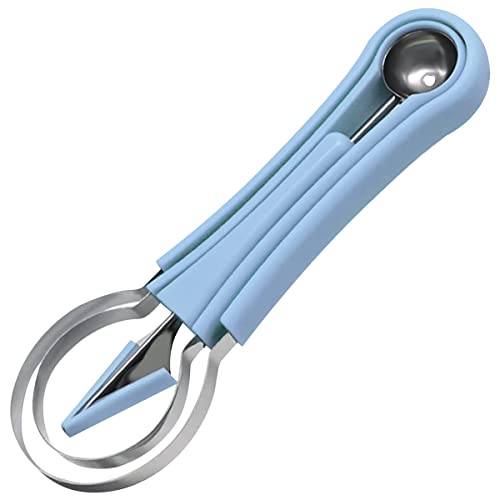 WANGCL Ensemble d'outils de sculpture de fruits 4 en 1 en acier inoxydable pour couper les pastèques et les graines de pastèque (bleu)