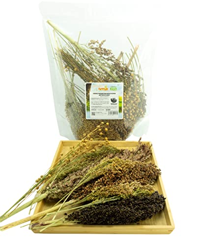 Getzoo Miscela di miglio Premium – essiccato (fascio) 160 g | Ideale per tutti i tipi di roditori | Alimentazione avventurosa e occupazione | Composizione vicino alla natura