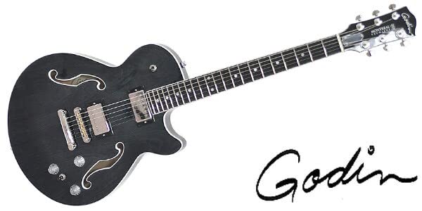 Amazon | GODIN GUITAR（ゴダンギター） Montreal Premiere AE Indigo