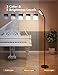 TaoTronics LED Floor Lamp 5 brightness levels & 3 colors, 1815 Lumens & 50,000 Hours, Flexible Gooseneck Dimmable Floor Lamp for Reading Living Room, Touch Control, Philips Enabled Licensing Program