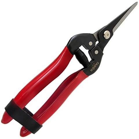TABOR TOOLS Straight Pruning Shears, Florist Scissors, Multi-Tasking Garden Snips for Arranging Flowers, Trimming Plants and Harvesting Herbs, Fruits or Vegetables (K7E Carbon Steel Blades) Cover
